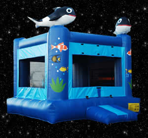 Inflatable bounce house,  Moonwalkers Inc., Crawfordville Bounce House, Crawfordville Moonwalks, Crawfordville Inflatables, Tallahassee Inflatables